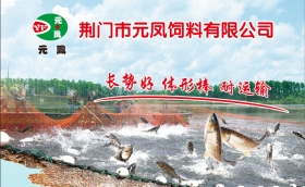狗子饲料长期面向全国诚邀代理商！